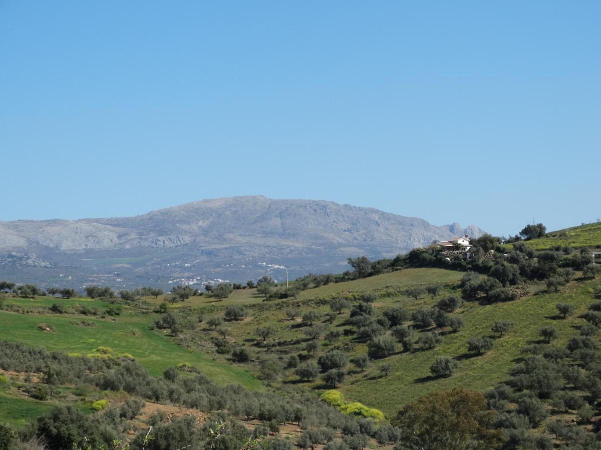 B&B Cortijo Loma Leon Cutar Exteriér fotografie