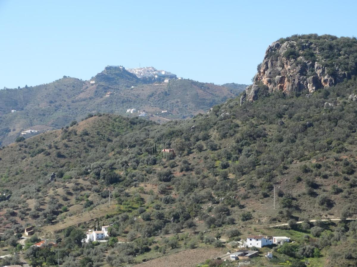 B&B Cortijo Loma Leon Cutar Exteriér fotografie