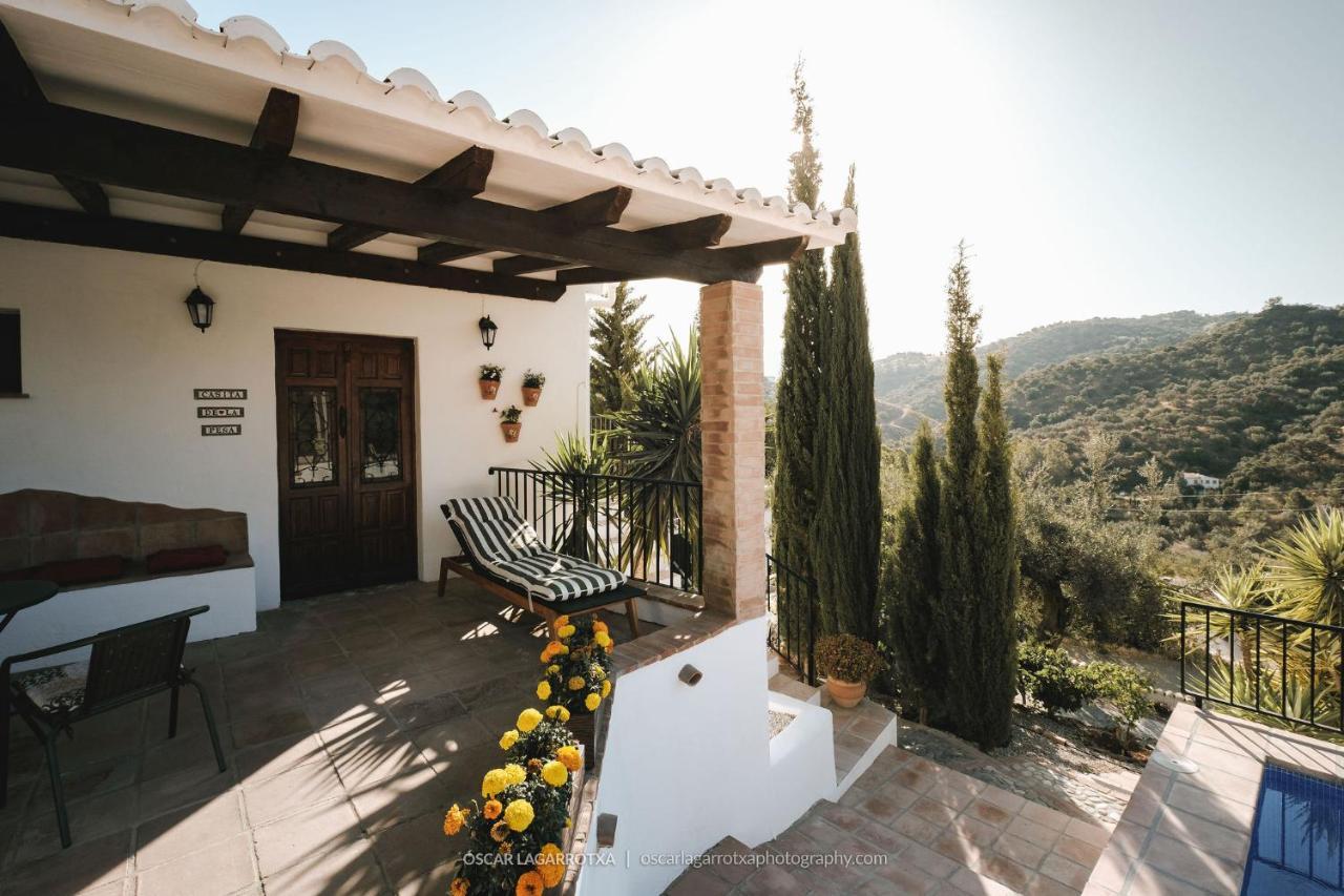 B&B Cortijo Loma Leon Cutar Exteriér fotografie
